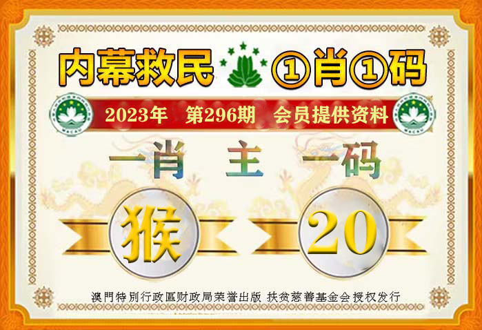 2024新澳一码一特,精选解释解析落实