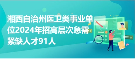 探索职场新机遇，走进597宁德人才网招聘的世界