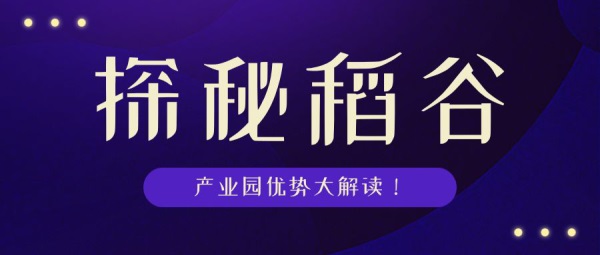 探索西昌的职场机遇，58同城网招聘引领人才对接新篇章