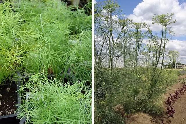 广州花都，探索职业发展的理想选择——聚焦58同城网招聘